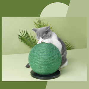 Cat Scratching Ball Board Toy Cactus Shape Scratch Sisal Post